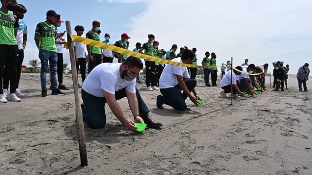 SEMAHN e IJECH trabajan en la protección y conservación de la Tortuga Marina 