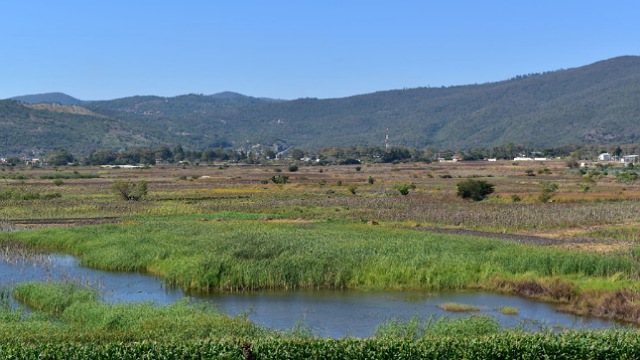 La Ciénega, un humedal estratégico para la Meseta Comiteca Tojolabal