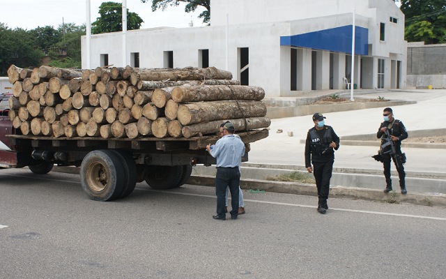 Operativos forestales logran asegurar 2.880 metros cúbicos de madera