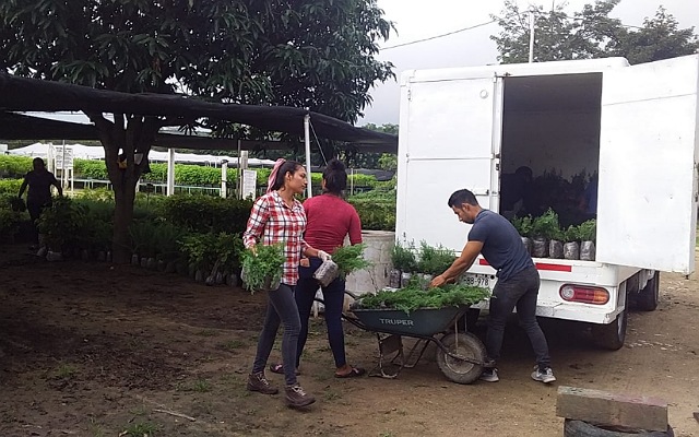 Entrega Semahn 15 mil plantas para reforestar 20 hectáreas en ejido Pantepec, municipio de Suchiapa 