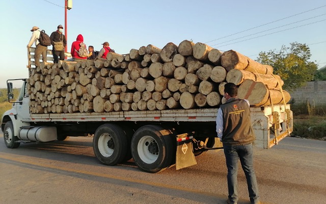 Operativo Forestal detecta carga ilegal de 2 mil 213 kg de carbón vegetal