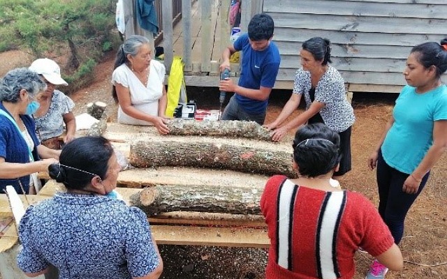Contribuye Semahn al desarrollo forestal sustentable de Chiapas