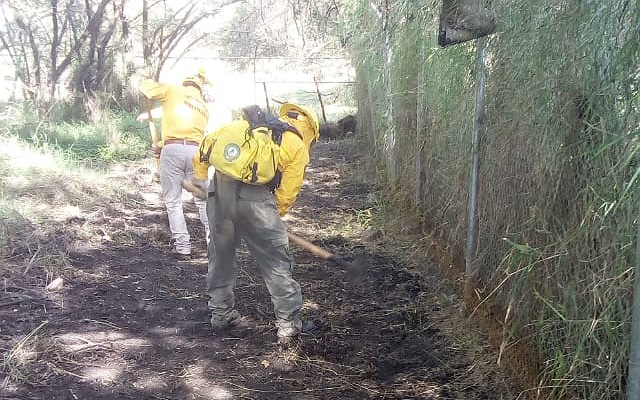 Humedal La Ciénega se protege ante la temporada de incendios