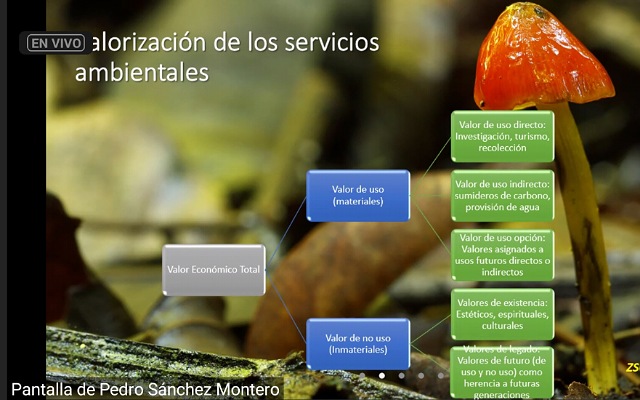 Los humedales son un ecosistema vital para el planeta: Semahn