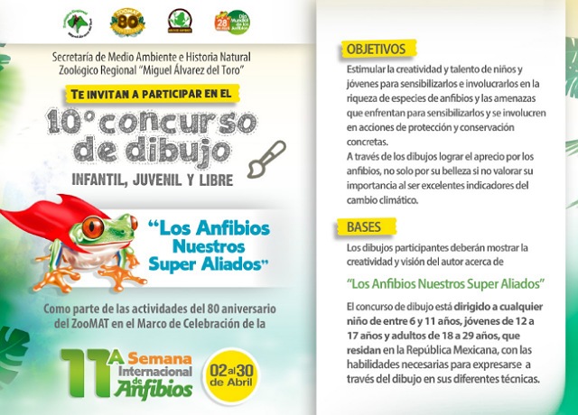 Los anfibios, nuestros súper aliados