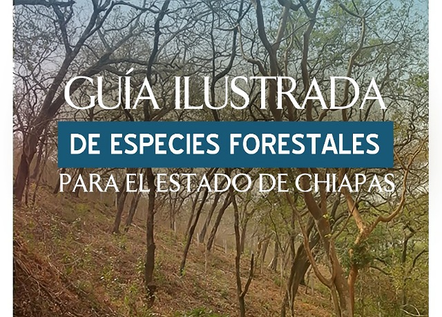 Presentan Primera Guía Ilustrada de Especies Forestales