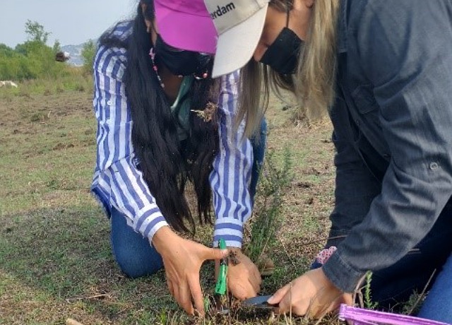 Herbario de Comitán resguarda la diversidad vegetal de la Meseta Comiteca: SEMAHN 