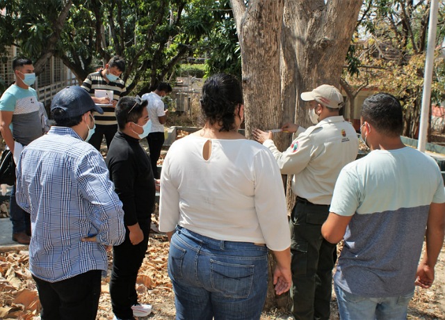 Semahn capacita a municipios prioritarios sobre sanidad forestal