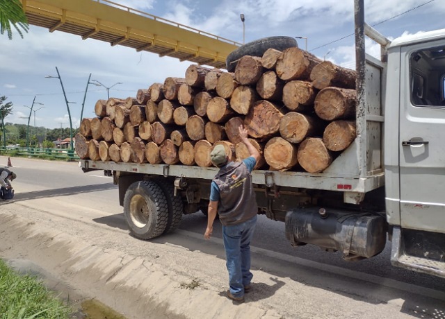 La transportación de productos forestales siempre debe comprobar su legal procedencia: SEMAHN