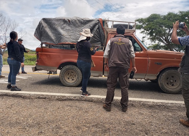 Operativos Forestales continúan dando resultados en Chiapas