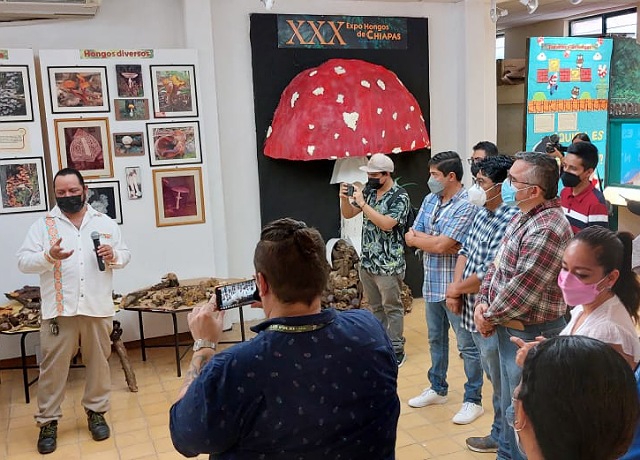 La XXX Expo Hongos de Chiapas acerca a la población al desconocido mundo del reino fungi