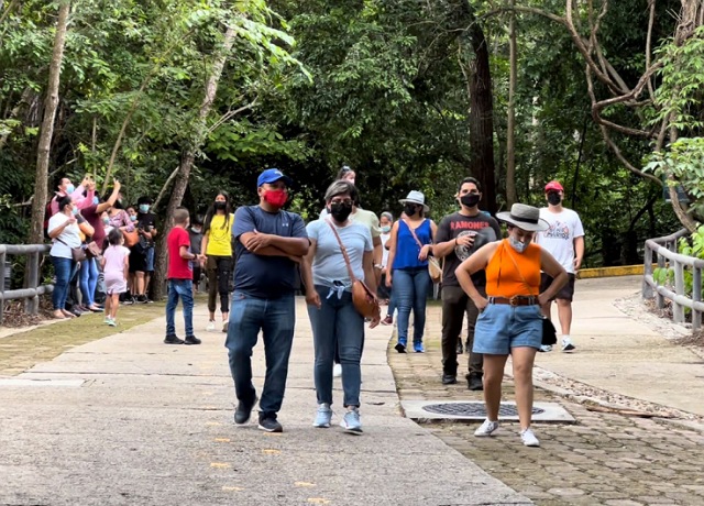 ZooMAT rompe récord de afluencia en temporada de verano