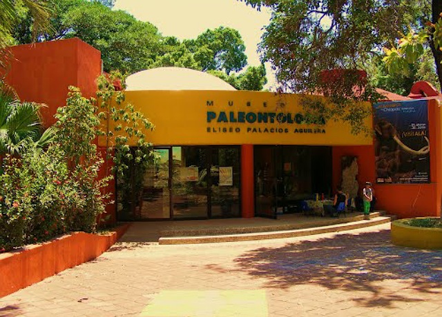 Museo de Paleontología Eliseo Palacios Aguilera celebra 20 años