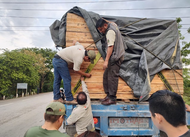 Operativos forestales regionales continúan dando resultados