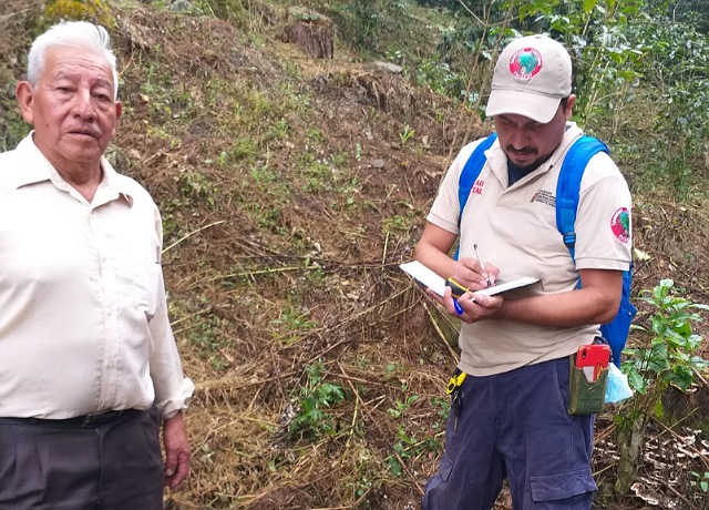 Semahn emite recomendaciones para saneamiento forestal en Teopisca