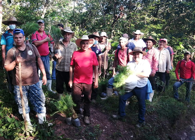 Semahn reforesta la Zona Sujeta a Conservación Ecológica Cordón Pico El Loro – Paxtal