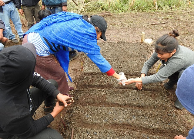 Capacita Semahn a comunidades rurales en materia de huertos biointensivos