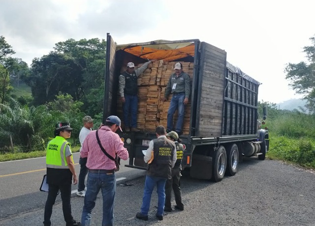 Combate efectivo a ilícitos forestales mediante operativos