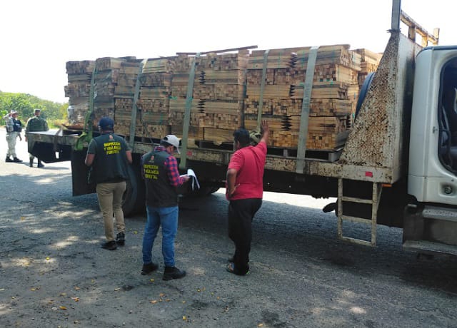 Operativos forestales dan resultados positivos en la protección de los bosques y el decomiso de madera ilegal en Chiapas: Semahn