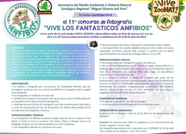 Arranca el 11º concurso de dibujo infantil, juvenil y libre y de fotografía “Vive los Fantásticos Anfibios”