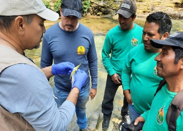 SEMAHN fomenta el equilibrio de los ecosistemas con el cuidado del agua