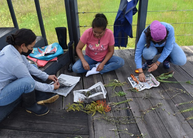 SEMARNAT expide licencia de colecta científica al Orquidario y Jardín Botánico “Comitán” de la SEMAHN