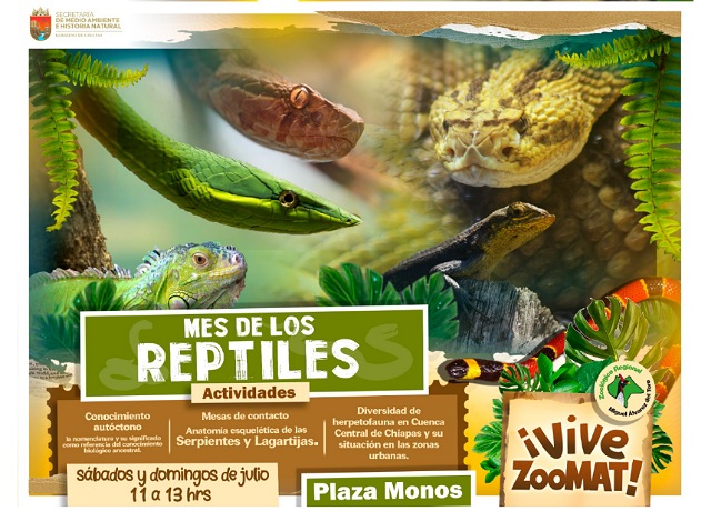 Julio, mes de los reptiles en el ZooMAT; invitan al público a visitarlo