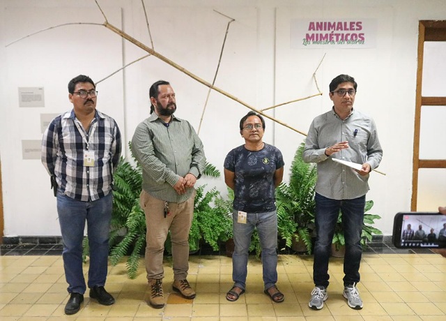 Inaugura Semahn exposición fotográfica “Animales Miméticos… Los Maestros del Disfraz”