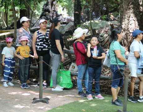 Recuerda Semahn a visitantes del ZooMAT prohibición de ingreso con plásticos de un solo uso