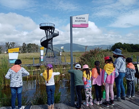 Realizará Semahn “Orquifest” en el Orquidario y Jardín Botánico Comitán