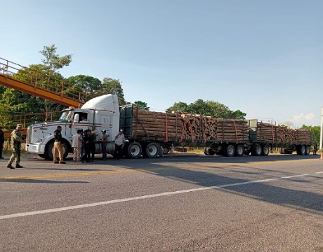 Llama Semahn a verificar procedencia legal de materia prima y productos forestales para evitar delito de tráfico