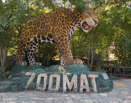 Celebra Semahn 81 aniversario del ZooMAT