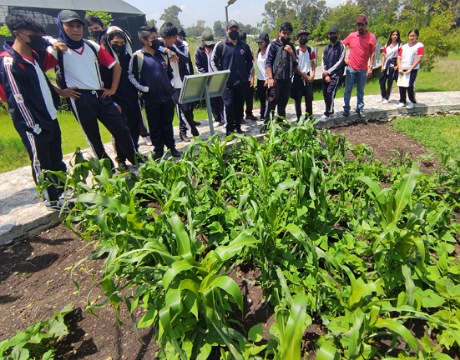 Invita Semahn a visitar nuevo espacio de exhibición en el Orquidario y Jardín Botánico “Comitán”