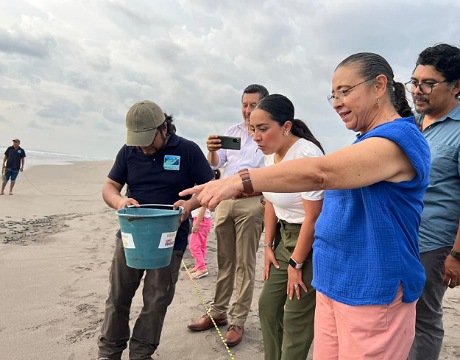 Libera Semahn tortugas golfinas en el campamento de Puerto Arista