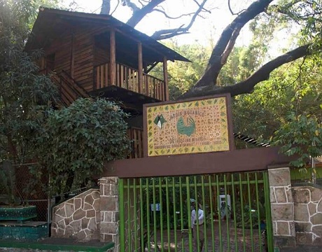 <p>Invita Semahn a participar en actividades por el 74 aniversario del Herbario, Museo y Jardín Botánico “Dr. Faustino Miranda"</p>