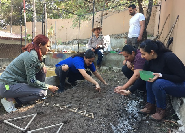 "Fundamental trabajar con el sector educativo desde el nivel básico para consolidar la cultura del cuidado del medio ambiente”: María del Rosario Bonifaz Alfonzo