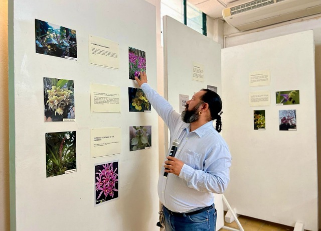 Inaugura Semahn III Expo Orquídeas de Chiapas “Un frágil tesoro”  