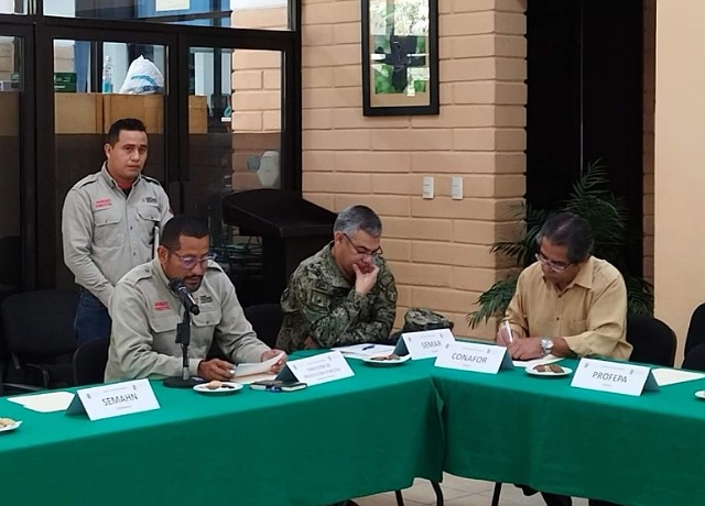 Sesiona Comité de Sanidad Forestal presidido por la Semahn