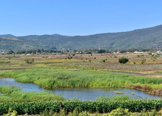 Anuncia Semahn actividades sobre los humedales en el Orquidario y Jardín Botánico “Comitán”