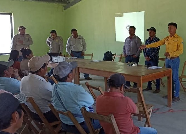 ¡Protegiendo Nuestros Bosques! 