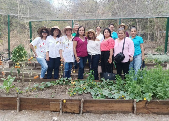 ¡Los huertos urbanos están transformando comunidades! 