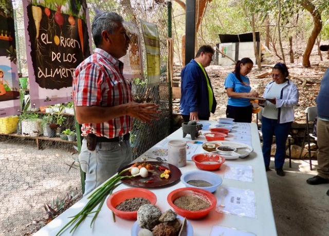 ¡Cultiva tu futuro con el Curso de Huertos Biointensivos! 