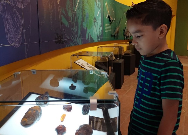Inauguramos "Bosques Prehistóricos 