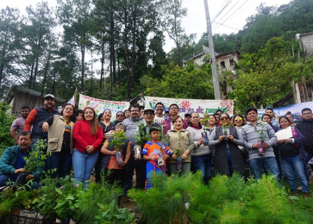 En Chiapas, sembramos futuro