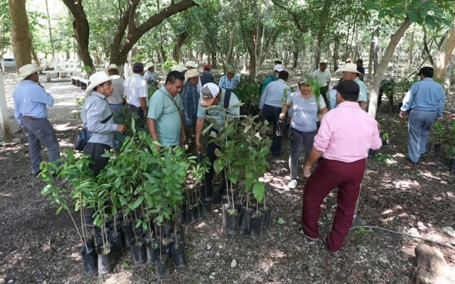 Restauración forestal en la Reserva natural “La laguna”: ¡Un Futuro Verde para Todos! 