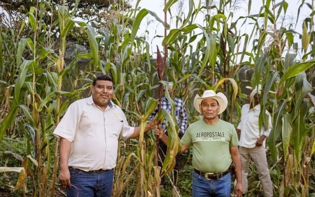 Resultados que germinan en Copainalá 