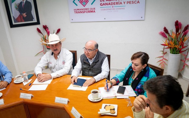 ACCIONES CONCRETAS: Así se continúa la restauración de microcuencas en Chiapas. 