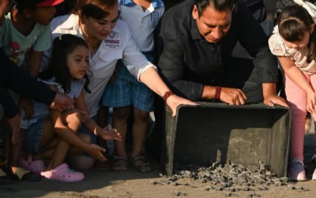 Liberación de tortugas en Puerto Arista 