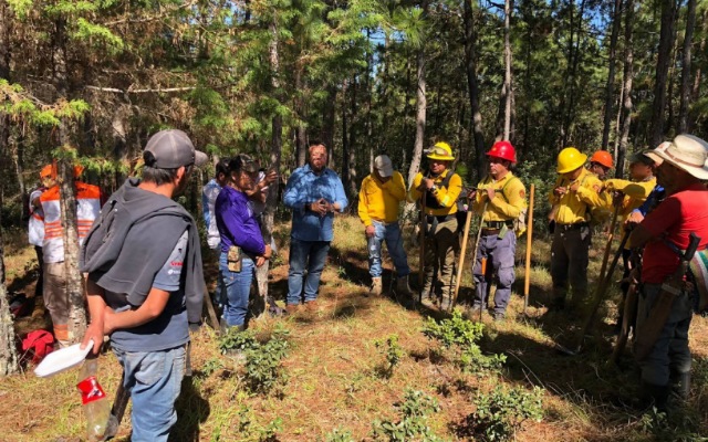 Manejo y cuidado forestal con conciencia ambiental