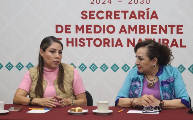 Trabajo en equipo con conciencia ambiental